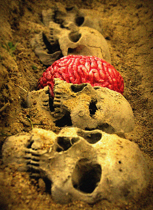 SkullsBrain Smaller